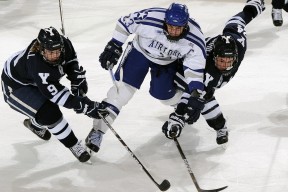 开云体育平台APP-当F1赛道轰鸣遇上篮球心跳，尼克斯力克火箭背后的冠军哲学