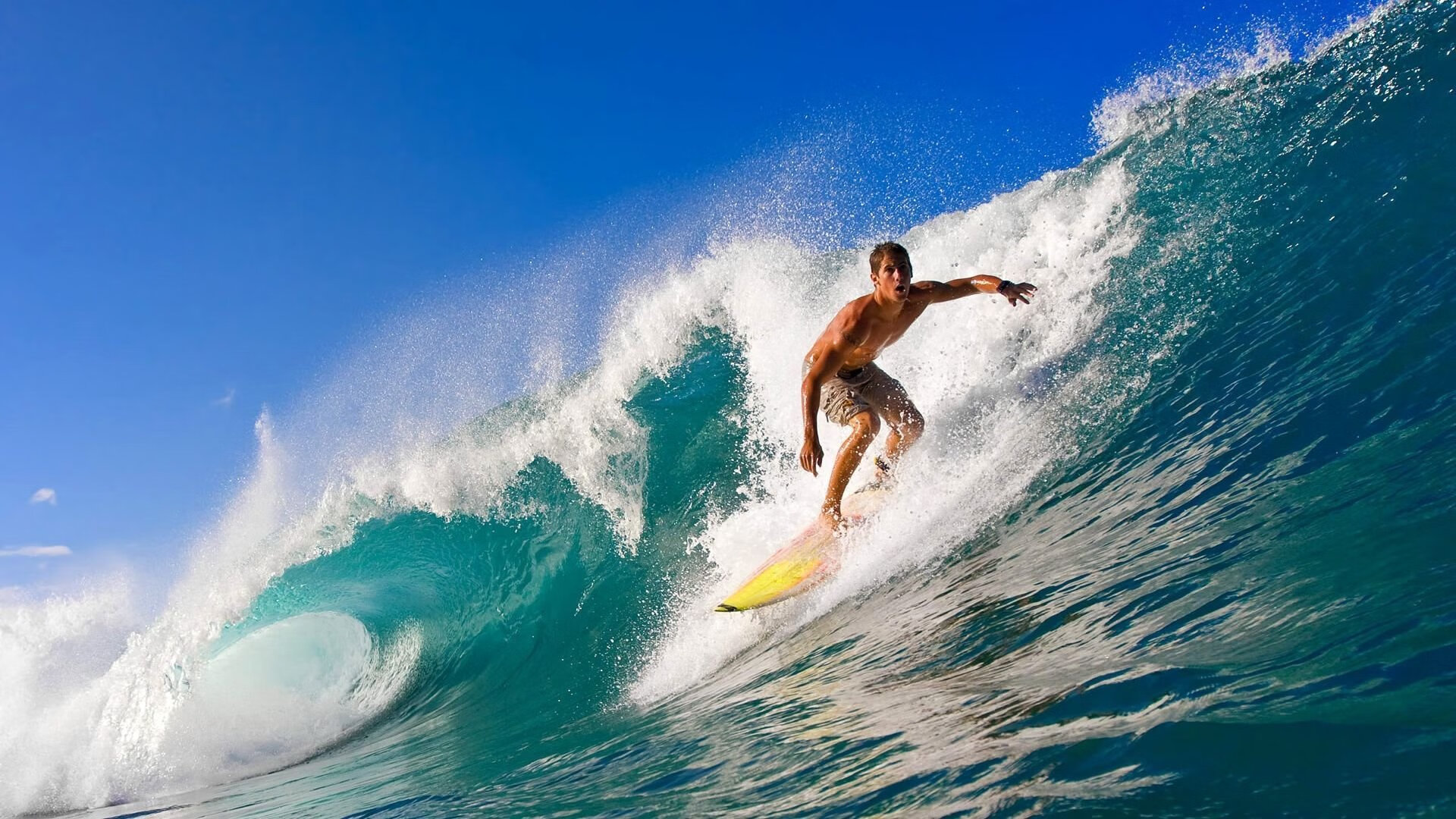 凯尔特人封锁深圳队,克莱冠军级表现背后的篮球文明对话